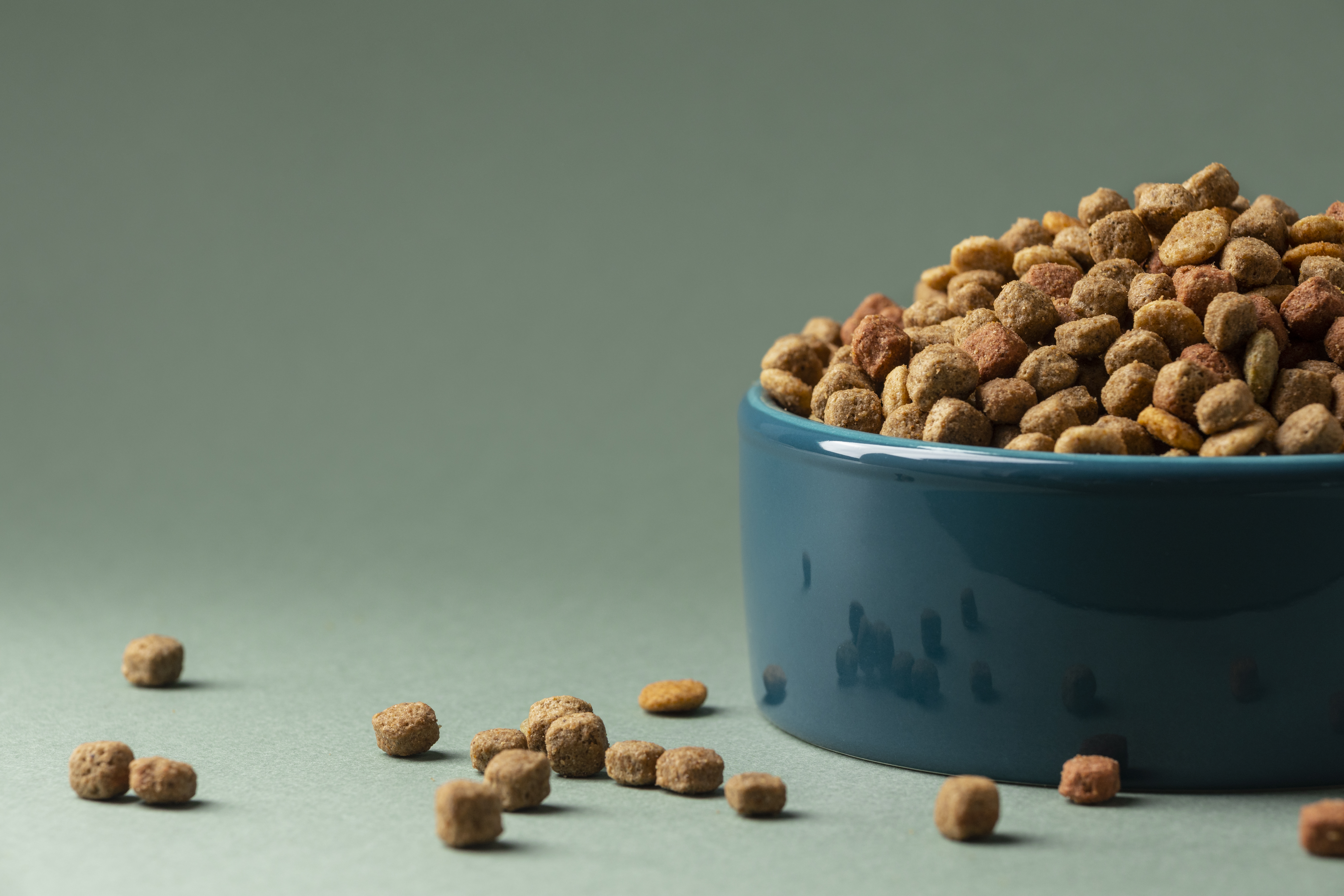 Feed & Petfood